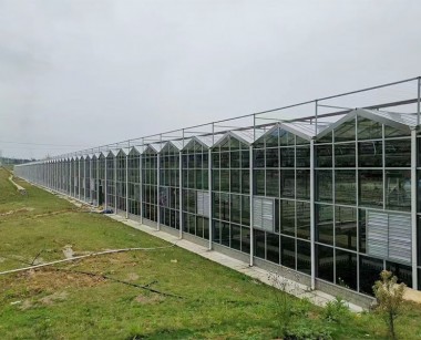 玻璃溫室案例現場
