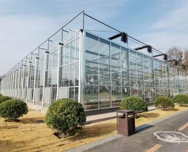 玻璃溫室案例現場