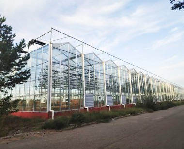 玻璃溫室案例現場