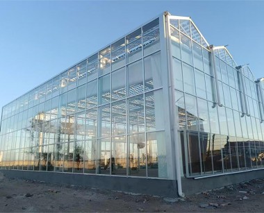 玻璃溫室案例現場