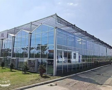 玻璃溫室案例現場