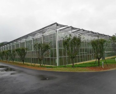 玻璃溫室案例現場
