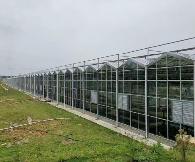 玻璃溫室案例現(xiàn)場
