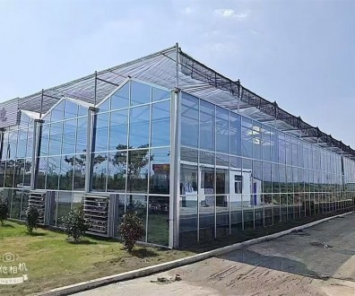 玻璃溫室案例現(xiàn)場